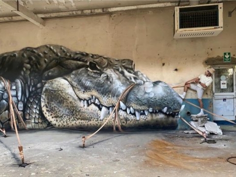 TRANH TƯỜNG 3D