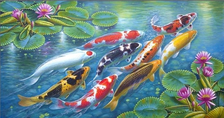 tranh sơn dầu phong thủy cửu ngư - Vẽ tranh tường NU